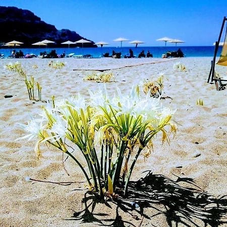 Annamaria Sea Side View Studio- 25M From The Beac Plakias Exterior foto