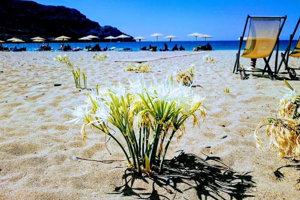 Annamaria Sea Side View Studio- 25M From The Beac Plakias Exterior foto
